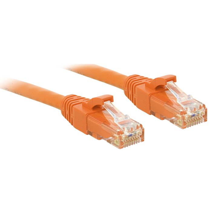 LINDY 48105 câble patch 30 cm orange