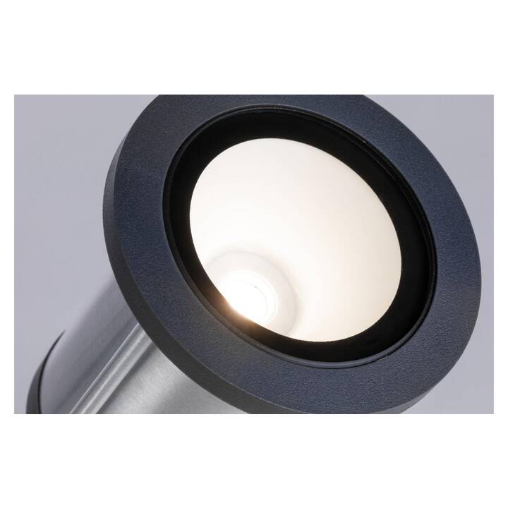 PAULMANN Lampe sur pied Plug & Shine Classic 32° (15.3 W, Argent, Noir)