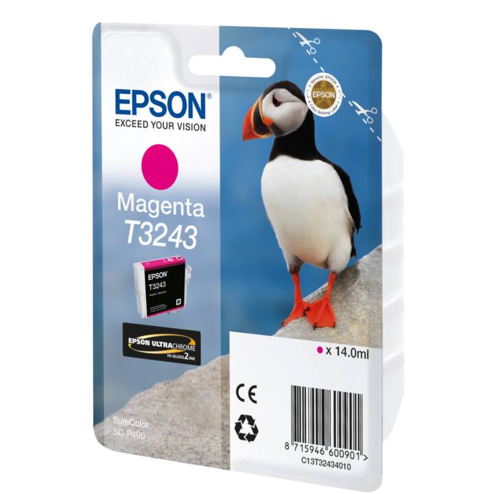 EPSON T3243 (Magenta, 1 Stück)