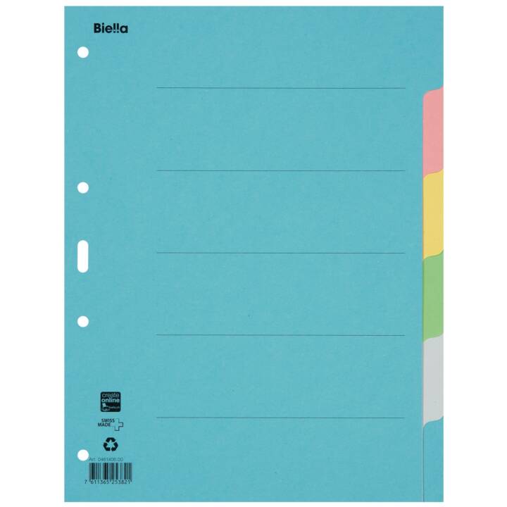 BIELLA Register (6 x A4, Farblich)