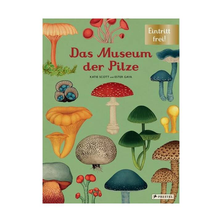 Das Museum der Pilze