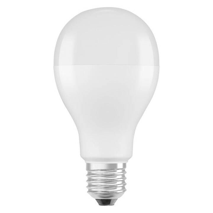LEDVANCE Ampoule LED (E27, 19 W)