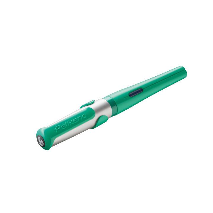 PELIKAN Pelikano P480 Penne stilografice (Verde)
