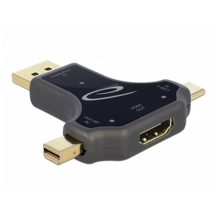 DELOCK Video-Adapter (Mini DisplayPort, DisplayPort, USB Typ-C)