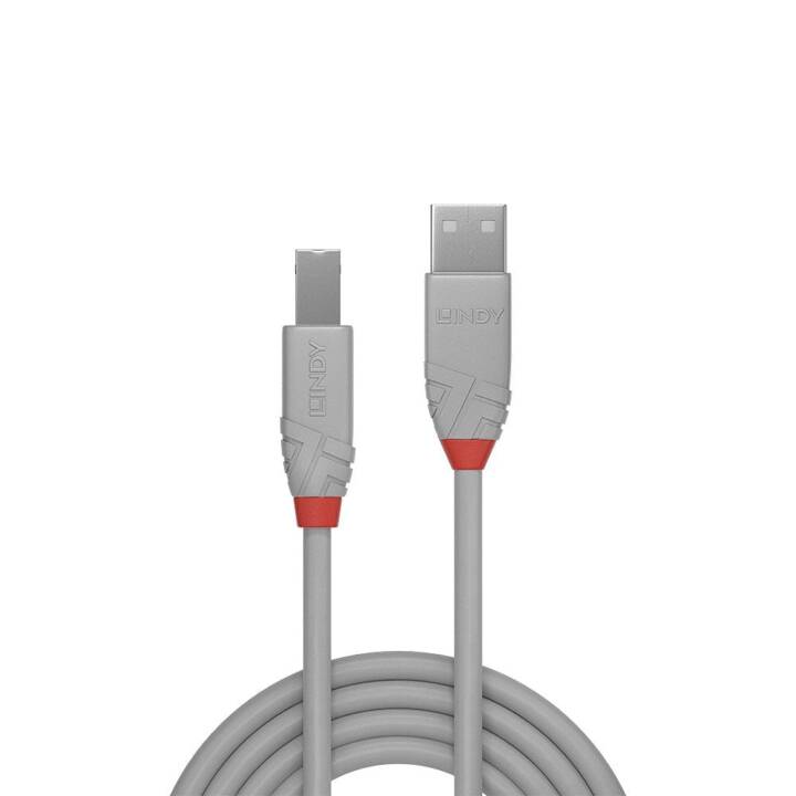 LINDY Anthra Line Câble USB