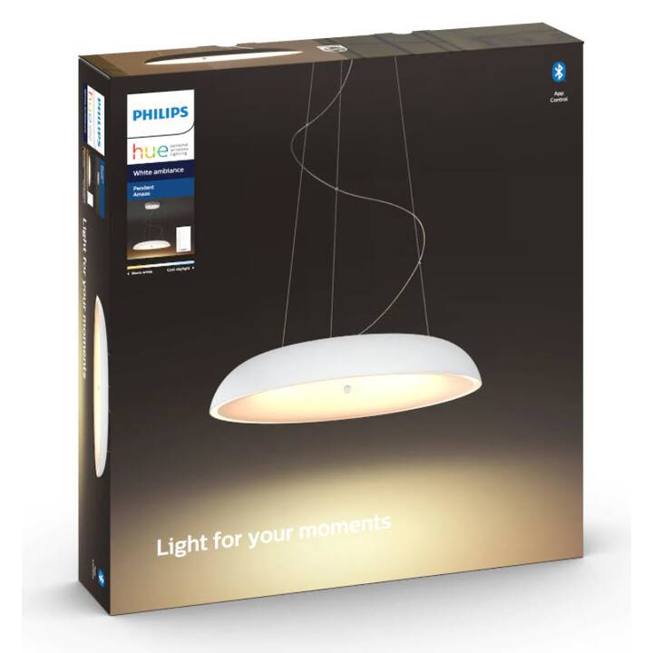 PHILIPS HUE Lampada o sospensione Hue Amaze Basis BT (LED)