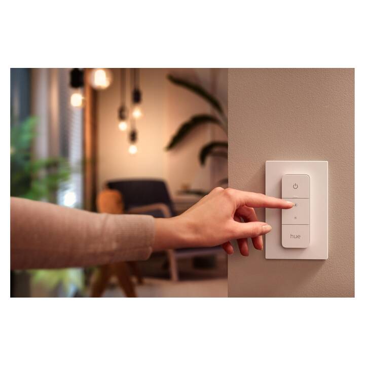 Éclairage Extérieur Connecté, Philips Hue Outdoor Câble Bt 2,5 M + Prise T, Philips Hue