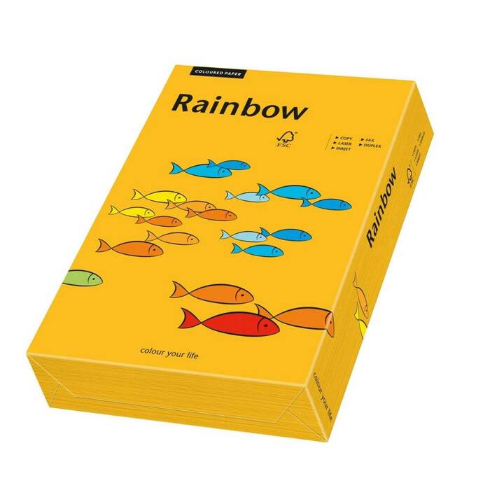 PAPYRUS Rainbow Carta colorata (250 foglio, A3, 120 g/m2)