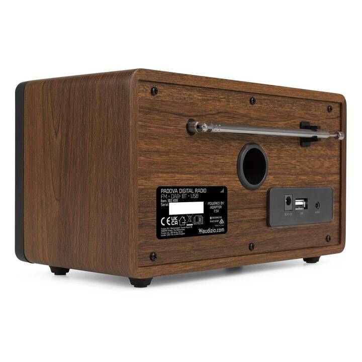 AUDIZIO Padova Digitalradio (Schwarz, Braun)