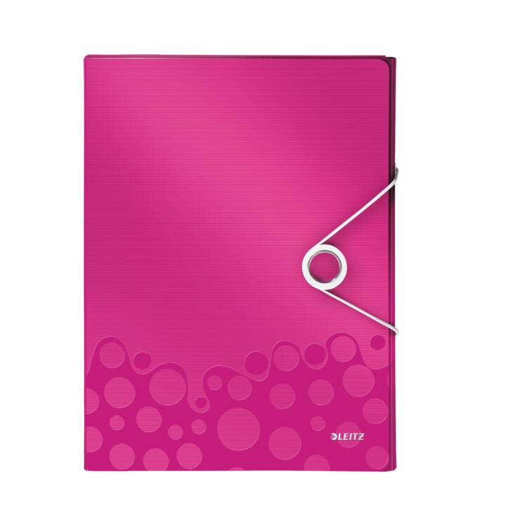 LEITZ Cartellina con elastico (Argento, Pink, A4, 1 pezzo)