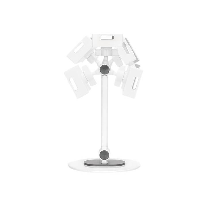 NEWSTAR DS15-540WH1 Support pour tablette (Blanc)