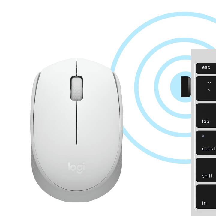 LOGITECH M171 Mouse (Senza fili, Office)