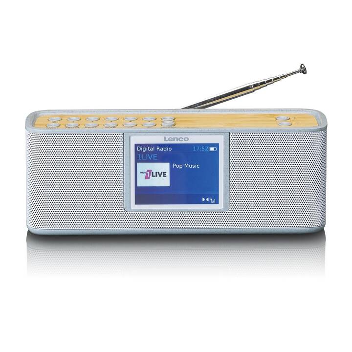 LENCO PDR-046 Radio digitale (Grigio, Marrone chiaro)