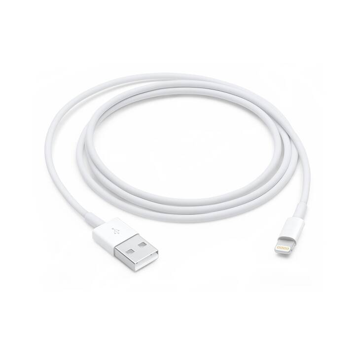 APPLE Lightning Câble (Lightning, USB Type-A, 1 m)