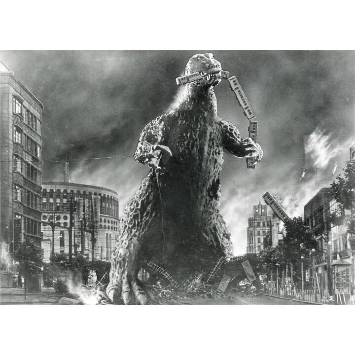 Godzilla - The Legend begins (JA, DE)