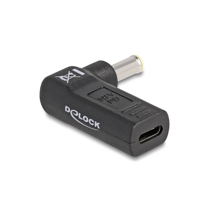 DELOCK Adaptateur (USB-C , 5.5 mm Klinke)