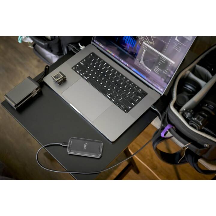 SANDISK Pro (Thunderbolt 3, USB Typ-C, 4000 GB, Grau, Schwarz)