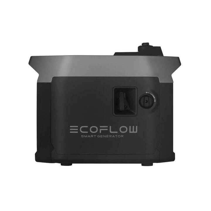 ECOFLOW Smart Generator Batteria ausiliaria