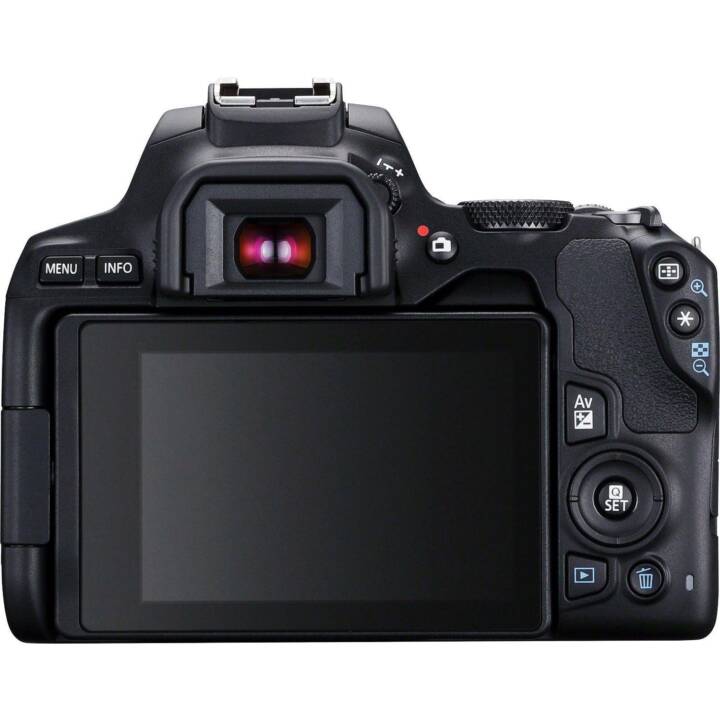 CANON EOS 250D + EF-S 18-55 mm IS STM Kit (24.1 MP)