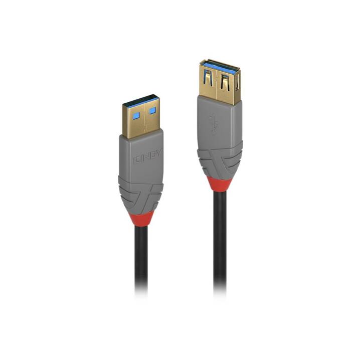 LINDY Câble USB (USB 3.0 Type-A, 2 m)