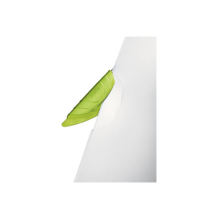 LEITZ Cartella per candidatura (Verde, A4, 1 pezzo)