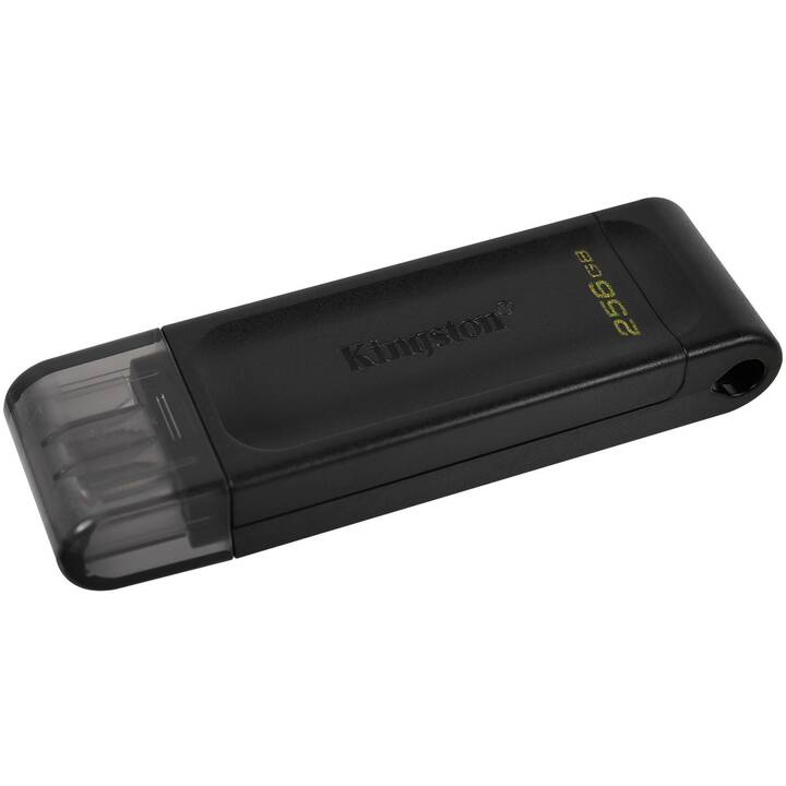 KINGSTON TECHNOLOGY DataTraveler (256 GB, USB 3.0 Typ-C)