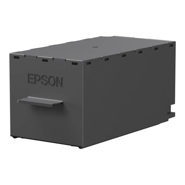 EPSON SC-P700/SC-P900 (Grigio, 1 pezzo)