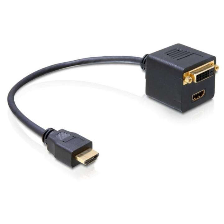 DELOCK Adaptateur ( HDMI, DVI, HDMI, 0.2 m)