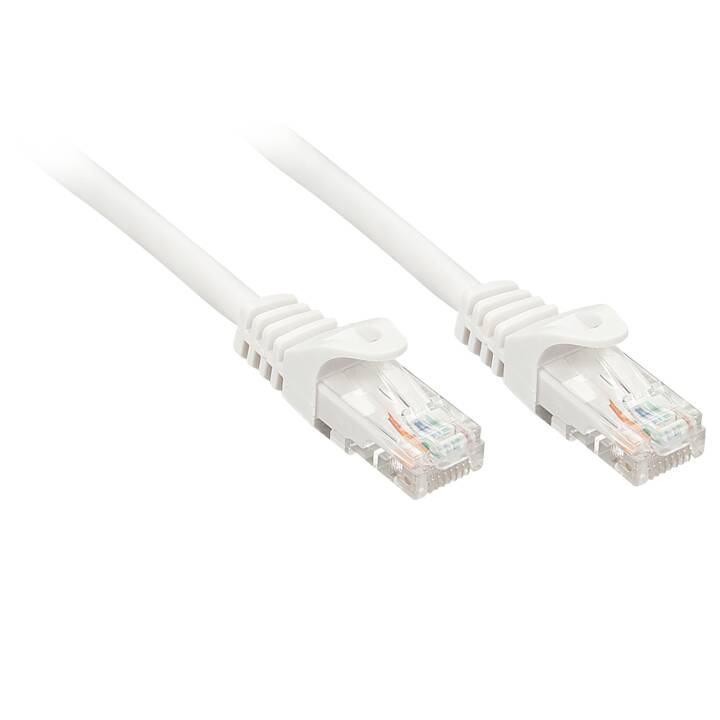 LINDY Câble patch Basic 1 m, blanc
