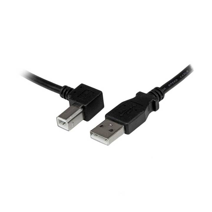 STARTECH.COM USB-Kabel (4-polig, USB 2.0 Typ-A, 2 m)