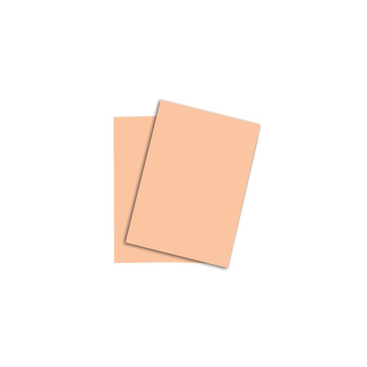 PAPYRUS Rainbow Papier Farbiges Papier (250 Blatt, A4, 120 g/m2)