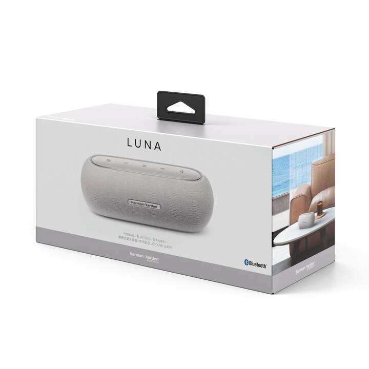 HARMAN / KARDON Luna (Gris)