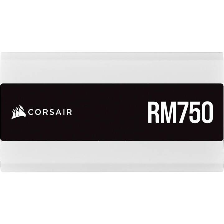 CORSAIR RM750 (750 W)