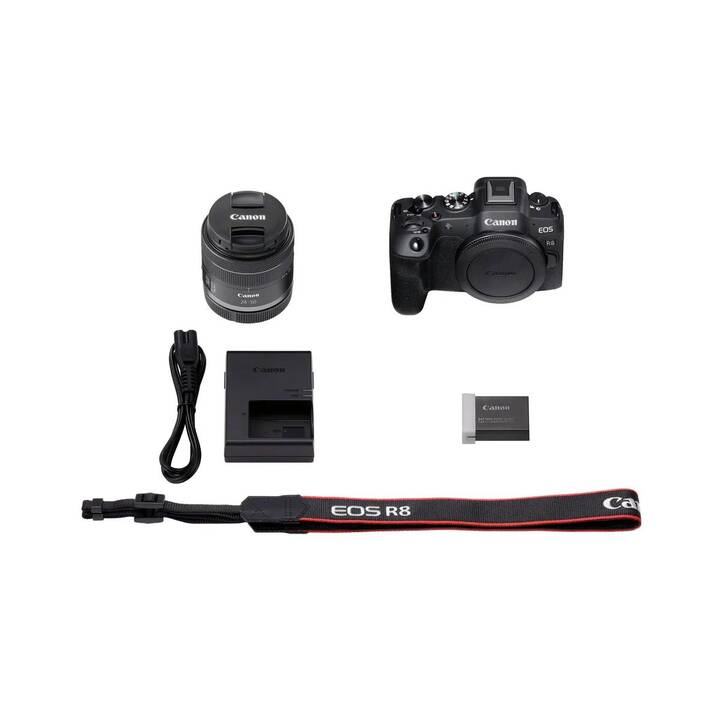 CANON EOS R8 + RF 24-50mm f/4.5-6.3 IS STM Kit (24.2 MP, Vollformat)