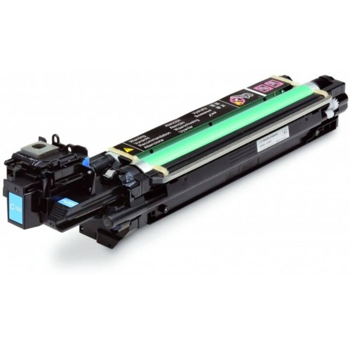 EPSON Drum S051203 (Cylindres, Cyan)