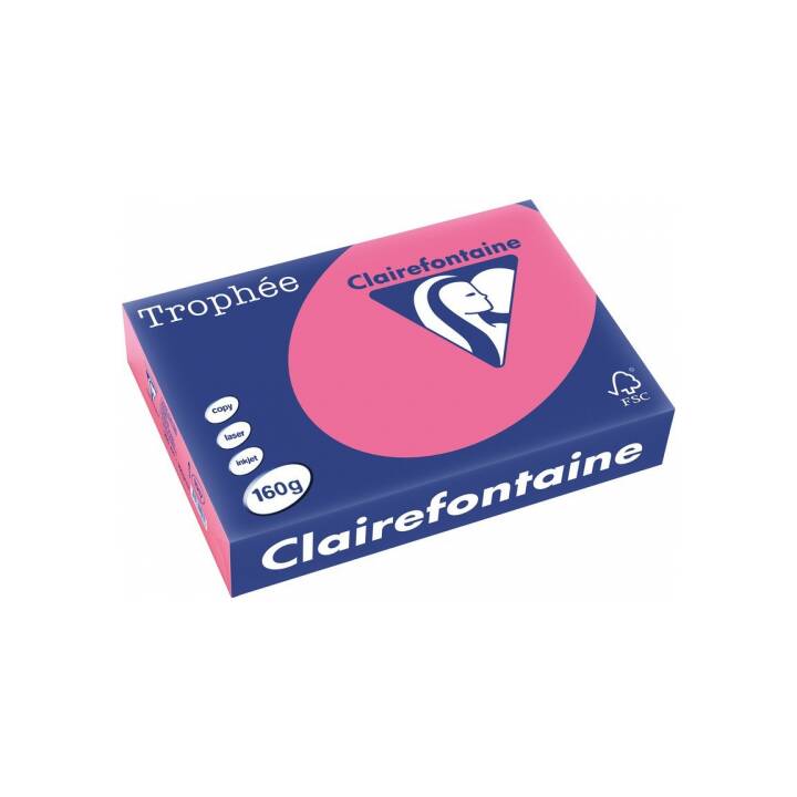 CLAIREFONTAINE Farbiges Papier (250 Blatt, A4, 160 g/m2)