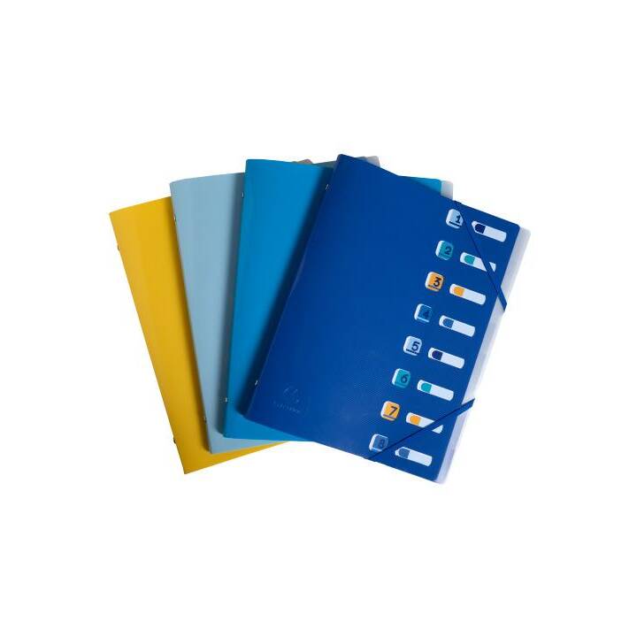 EXACOMPTA Dossier d'index (Bleu marine, Bleu clair, Turquoise, A4, 1 pièce)