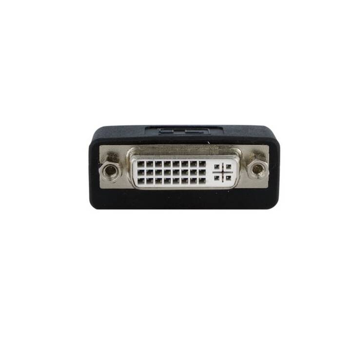 STARTECH.COM Adapter (DisplayPort, DVI)