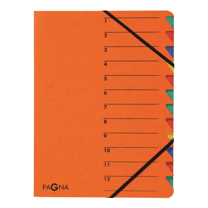 PAGNA Dossier à élastique (Orange, A4, 1 pièce)
