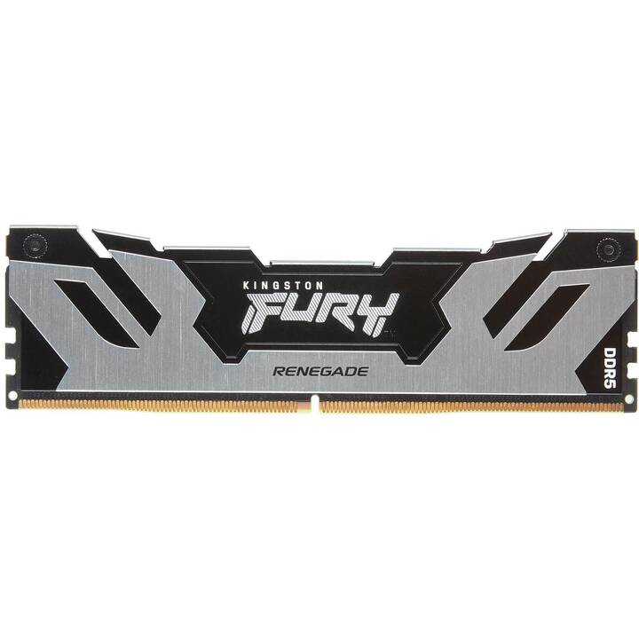 KINGSTON TECHNOLOGY Fury Renegade KF564C32RS-24 (1 x 24 Go, DDR5 6400 MHz, DIMM 288-Pin)