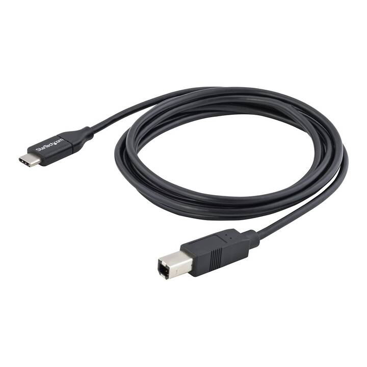STARTECH.COM Câble USB (USB Type-B, USB 2.0 Type-C, 2 m)