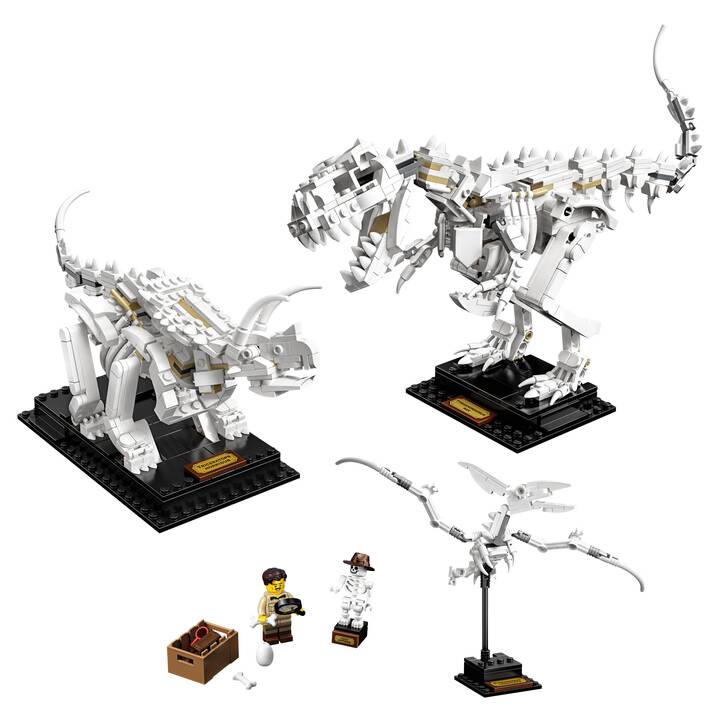 LEGO Ideas Dinosaurier-Fossilien (21320, seltenes Set)