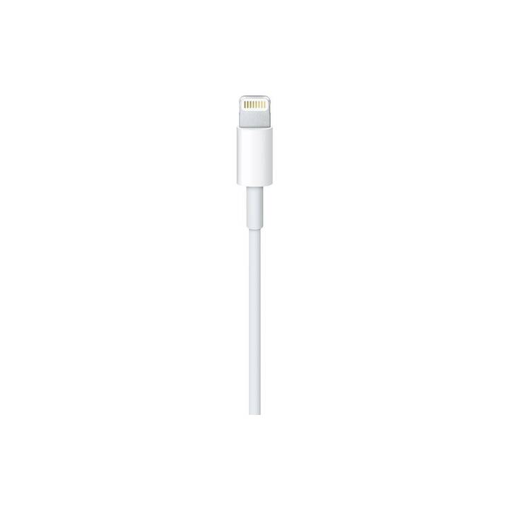 APPLE Cavo (Spina USB 2.0 di tipo A, Spina Lightning, 0.5 m)