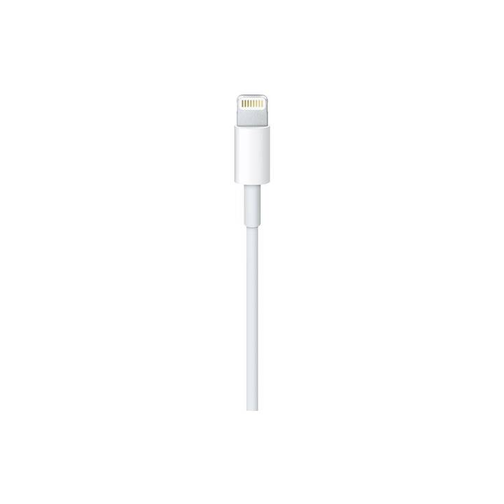 APPLE Kabel (USB 2.0 Typ-A, Lightning, 0.5 m)