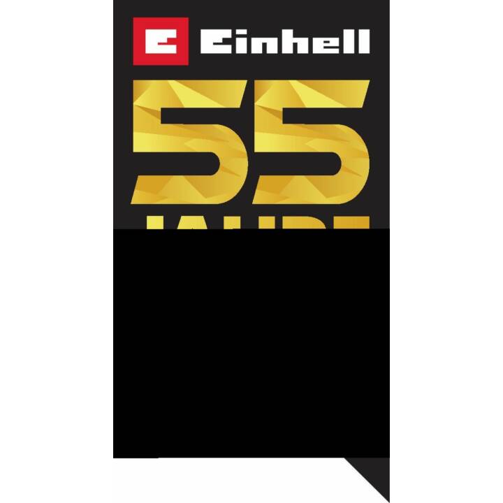 EINHELL Sacchetti aspirapolvere NTS1600 (5 pezzo)