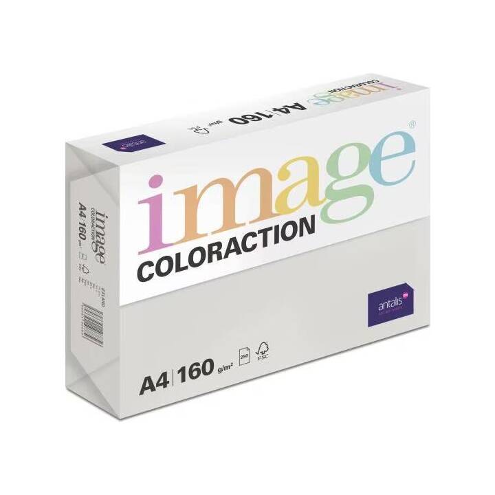 IMAGE Coloraction Kopierpapier (9 x 250 Blatt, A4, 160 g/m2)