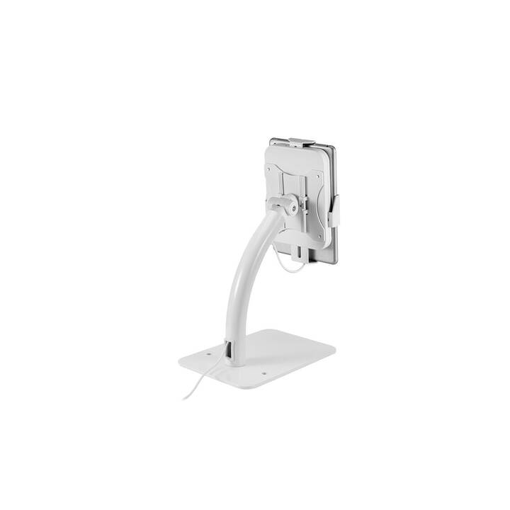 NEWSTAR DS15-625WH1 Support pour tablette (Blanc)