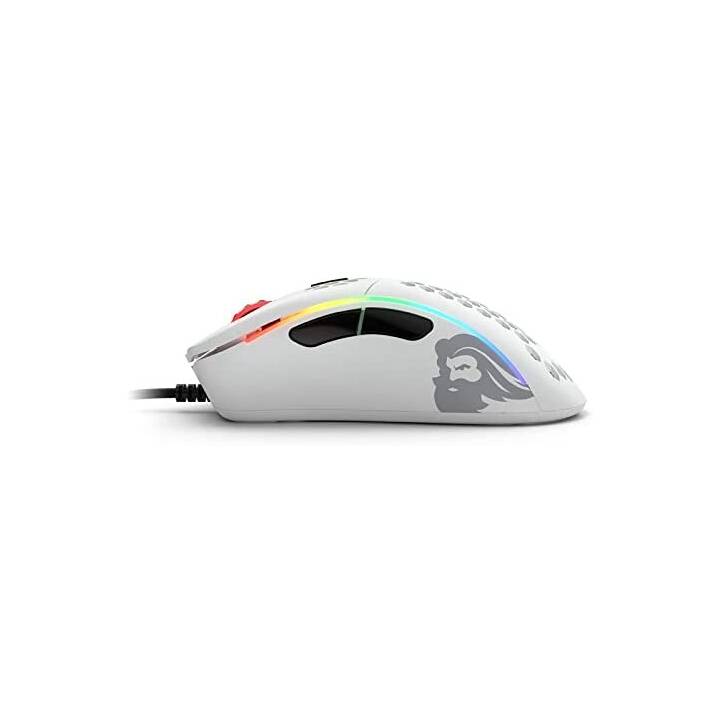 GLORIOUS PC GAMING RACE Model D- Mouse (Cavo, Gaming)