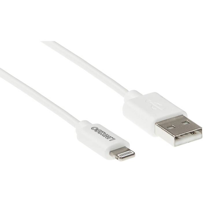 LINK2GO Câble (USB Typ-A, Fiche Lightning, 1 m)