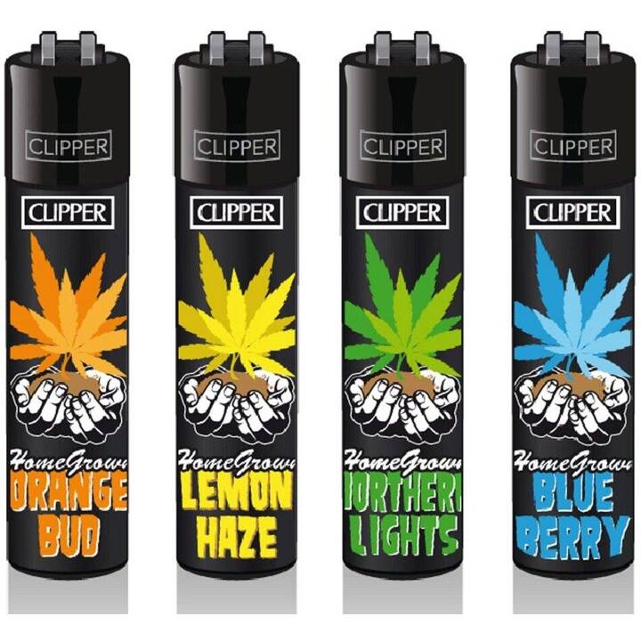 CLIPPER Gasfeuerzeug Home Grow (Mehrfarbig, 4 Stück)